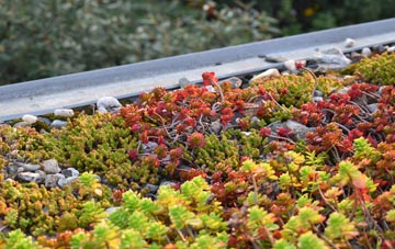 the cost of Willesborough Lees green roof installation