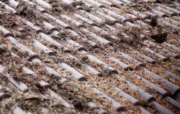 Willesborough Lees roof cleaning companies