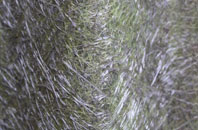 Willesborough Lees fibreglass roof work